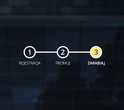 Program polecen SunRoof - zdjęcie