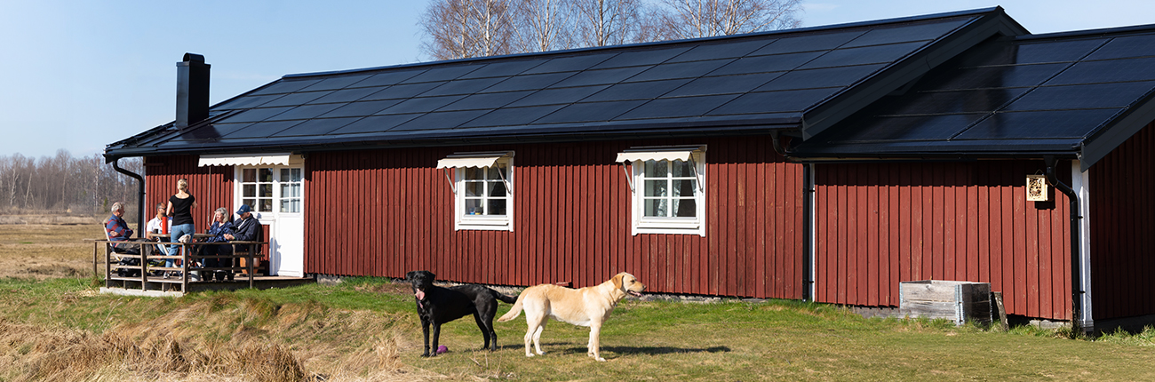 Dach solarny SunRoof - zdjęcie