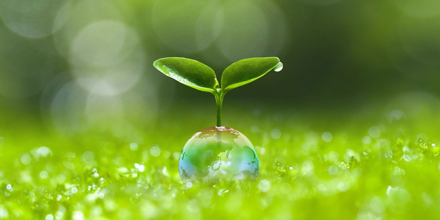 TOGETAIR 2020 Climate Summit: SunRoof believes in the future of solar power and offers workplaces to miners affected by the energy transformation